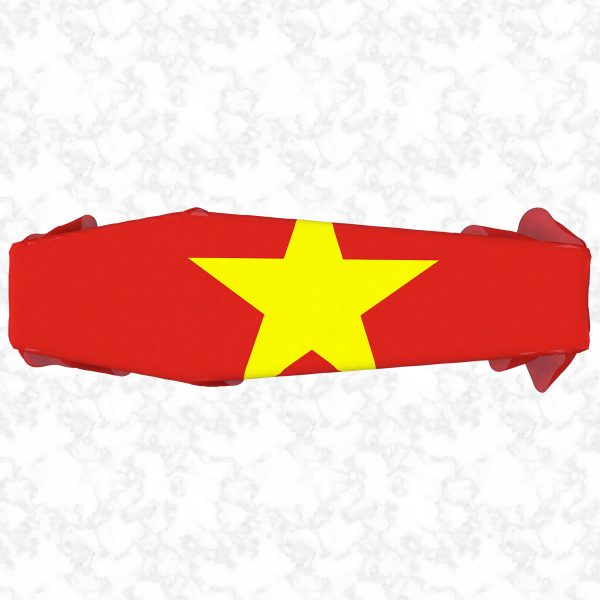 Vietnam flag 3D top