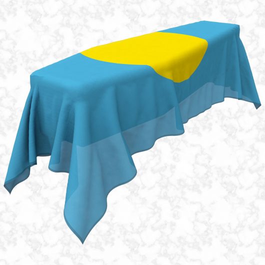 Palau flag 3D