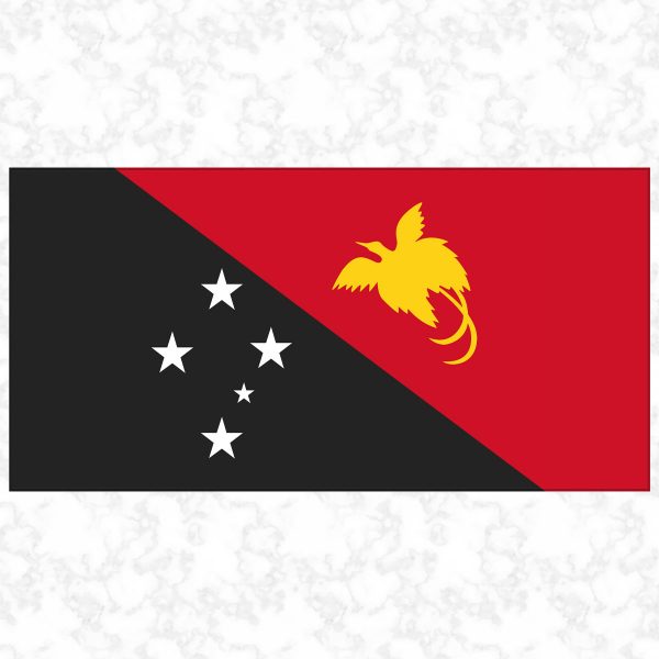 Papua New Guinea flag view