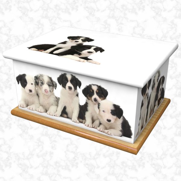 Walkies ashes casket