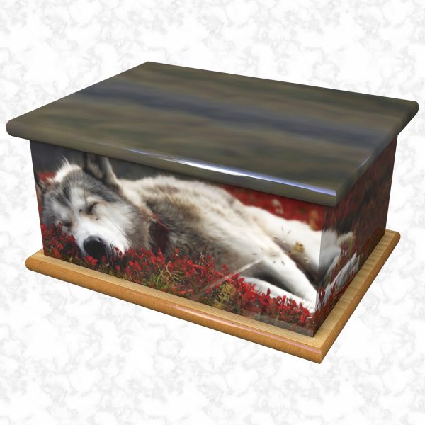 Nap time ashes casket