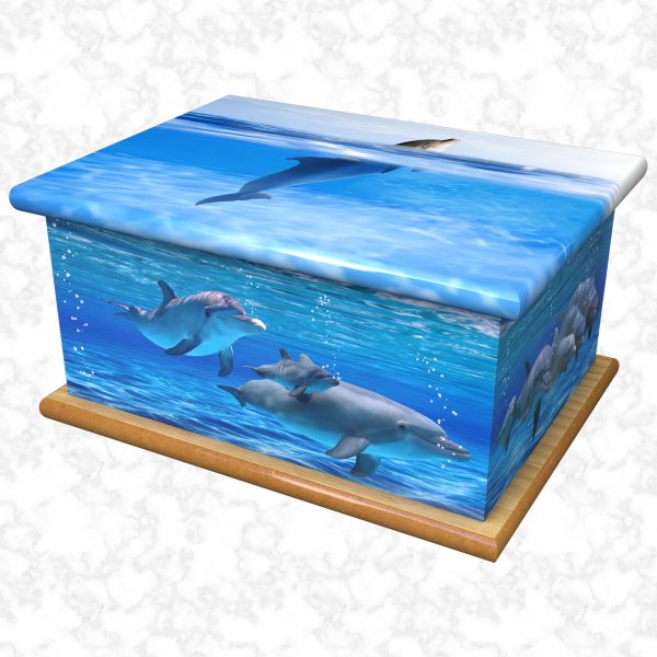 Swimming with dolphins ashes casket