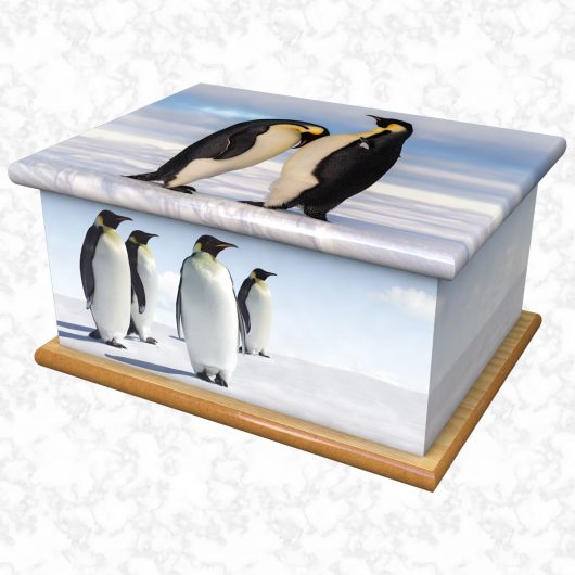 Penguins ashes casket