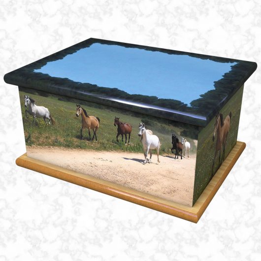 Wild horses ashes casket