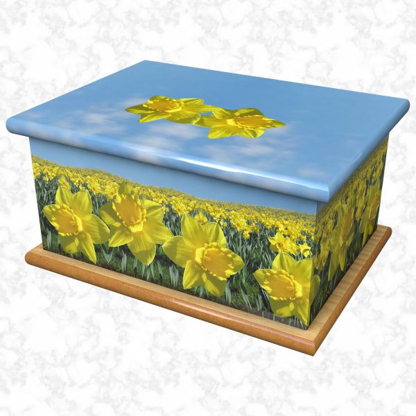 Field of daffodils ashes casket