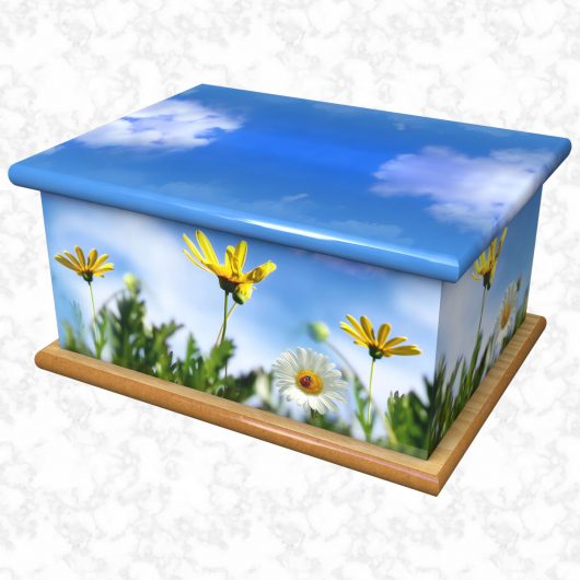 Innocence ashes casket