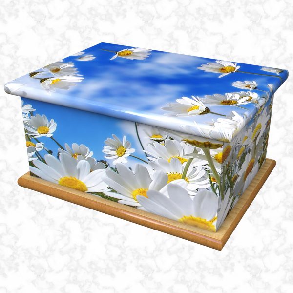 Dancing free ashes casket