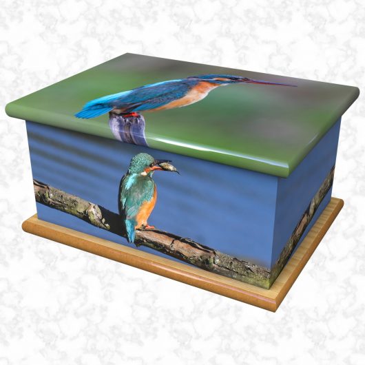 Kingfisher ashes casket