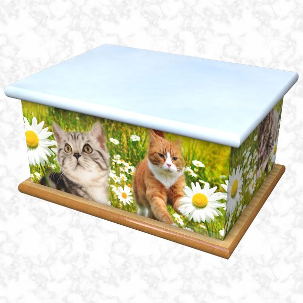 Purrfect daisy ashes casket