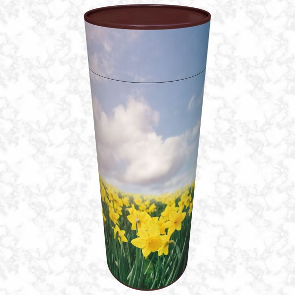 Field of daffodils scatter tube