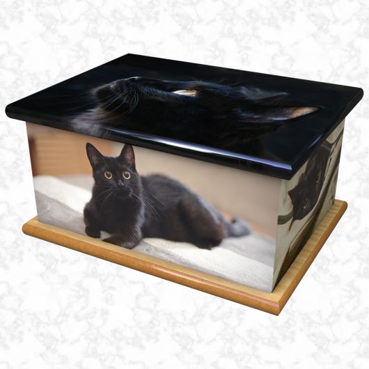 Tickles pet ashes casket size 1