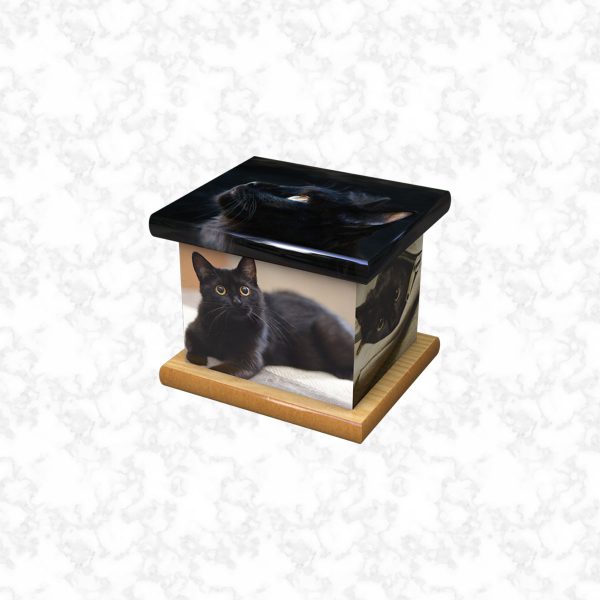 Tickles pet ashes casket size 3