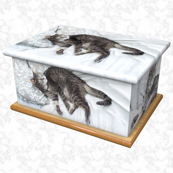 Tabby pet ashes casket size 1