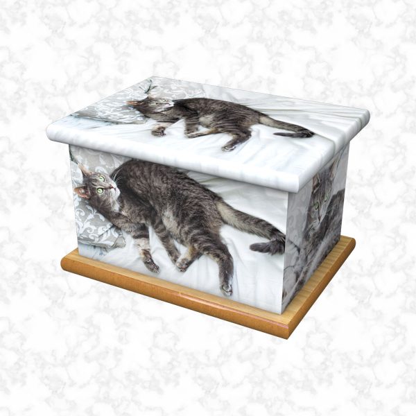 Tabby pet ashes casket size 2