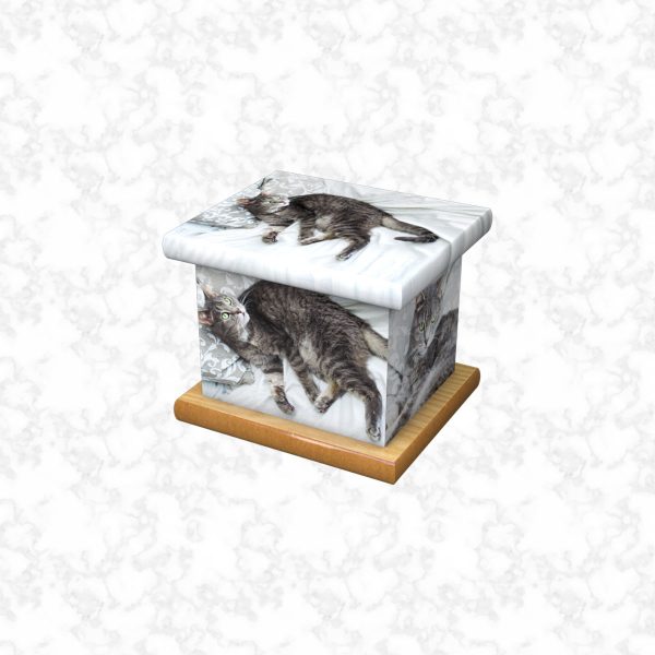 Tabby pet ashes casket size 3