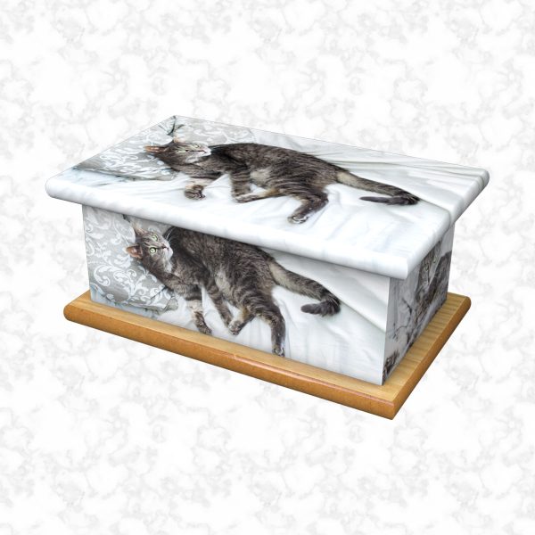 Tabby pet ashes casket size 4