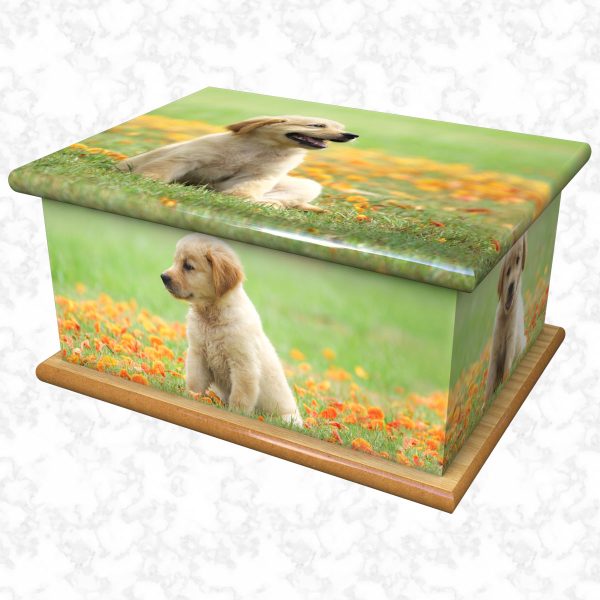 Goldie pet ashes casket size 1