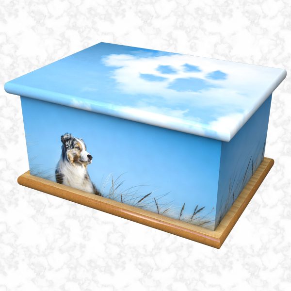 Bluey pet ashes casket size 1