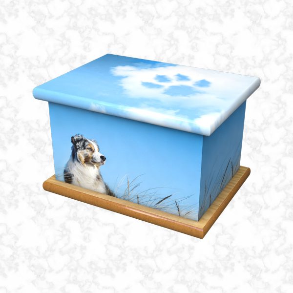 Bluey pet ashes casket size 2