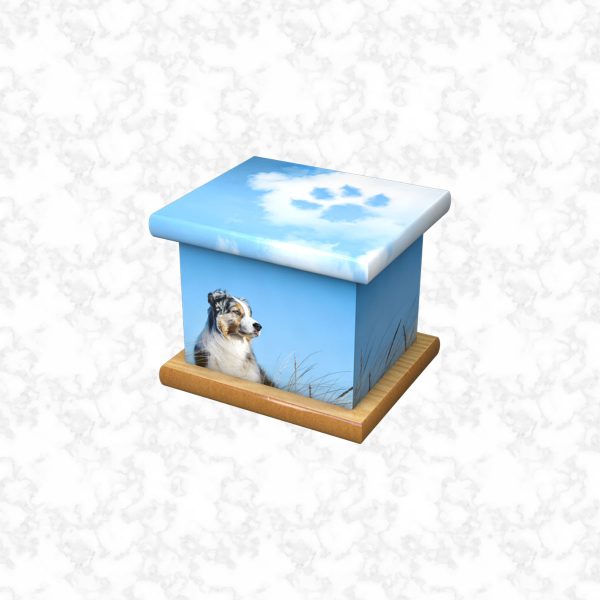 Bluey pet ashes casket size 3