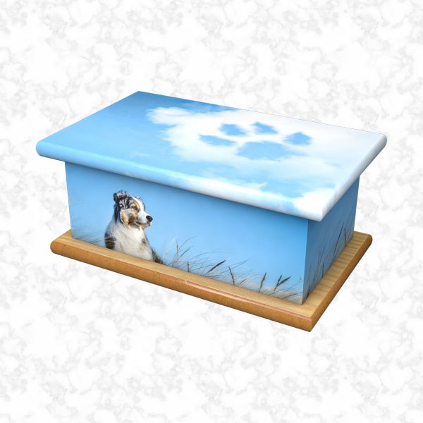 Bluey pet ashes casket size 4