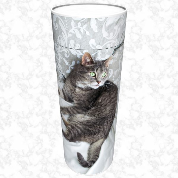 Tabby scatter tube adult size