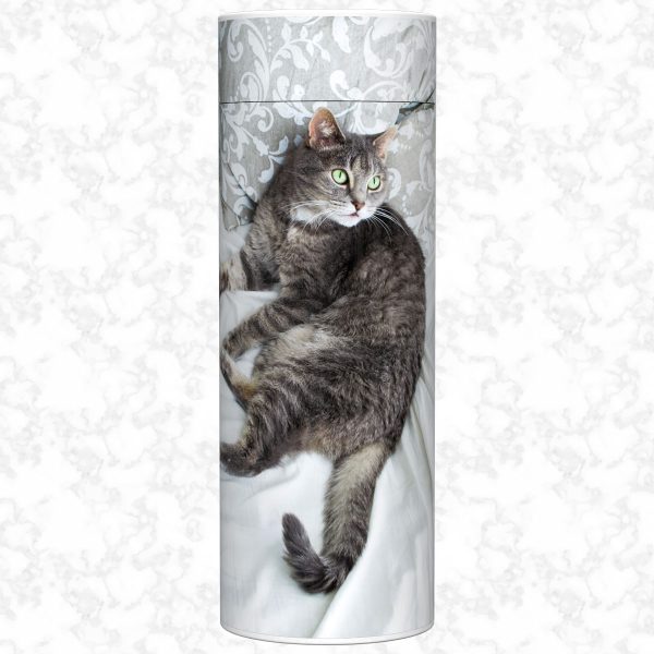 Tabby scatter tube adult size front view