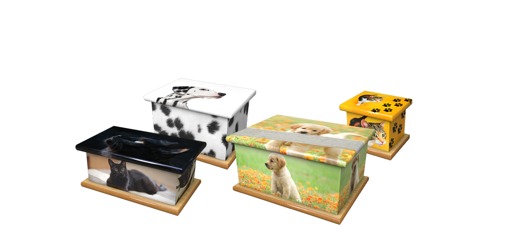 For Pet Ashes Casket category