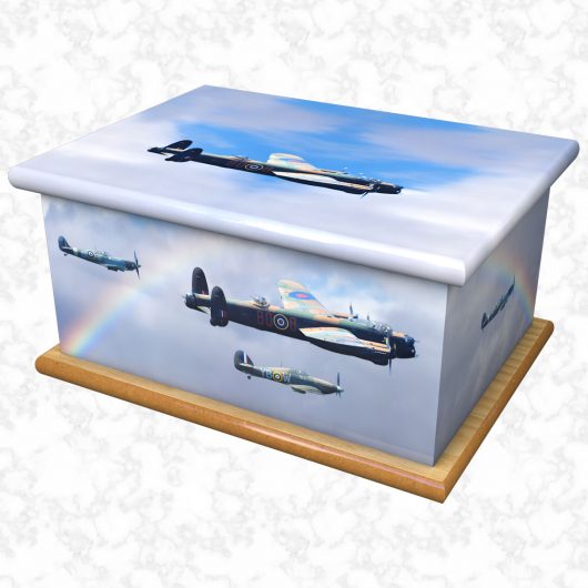 victory in the skies ashes casket