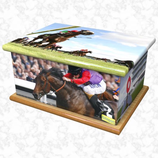 at the races ashes casket