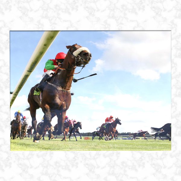 at the races adult ashes casket top view