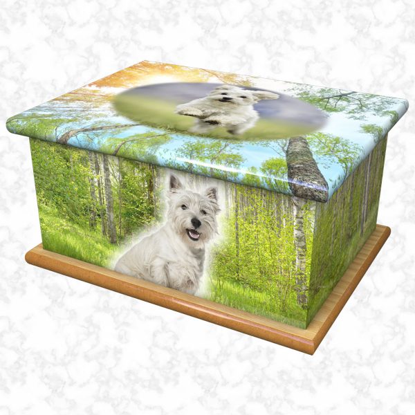 Molly pet ashes casket size 1