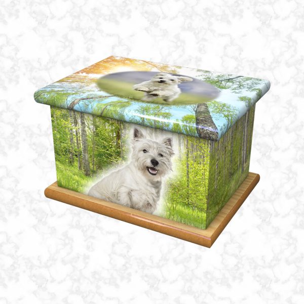 Molly pet ashes casket size 2