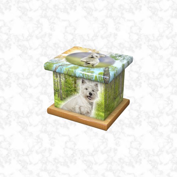 Molly pet ashes casket size 3