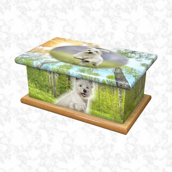 Molly pet ashes casket size 4