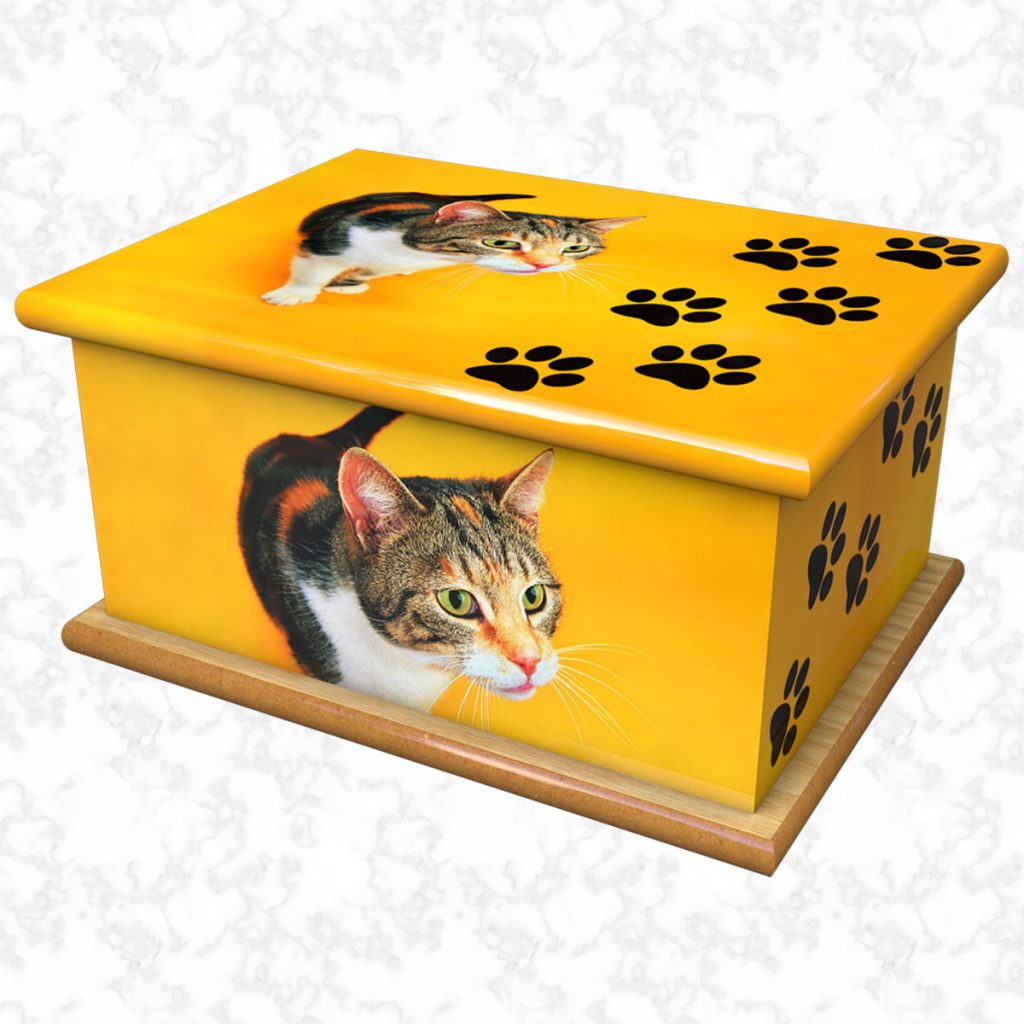 Kitty Pet Ashes Casket For Pets Accessories Kitty   Pt1580 Kitty Pet Size1 1024x1024 