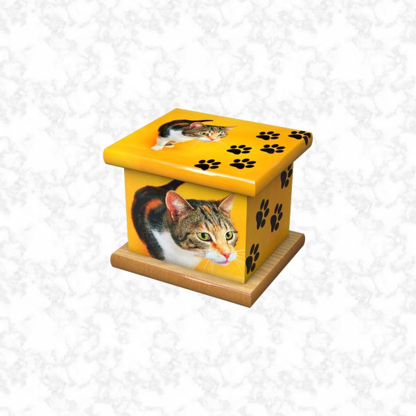 Kitty pet ashes casket size 3