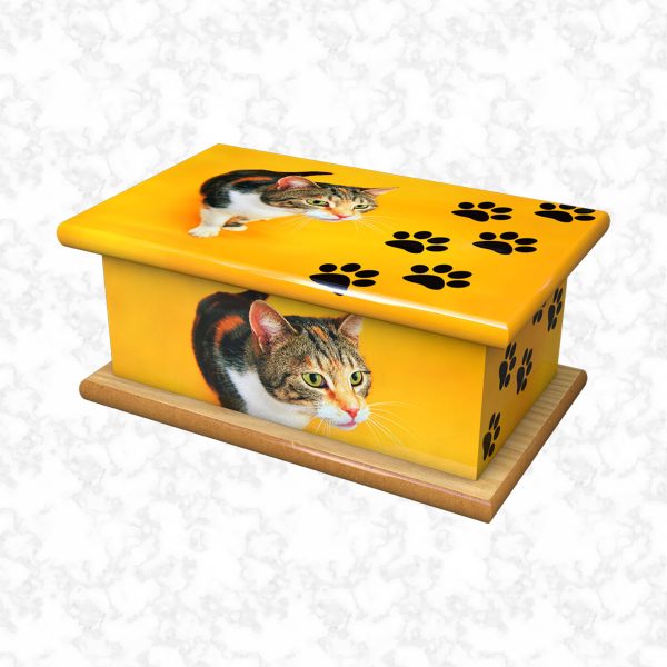 Kitty pet ashes casket size 4