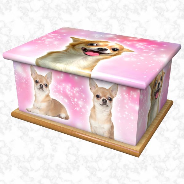 Chihuahua pet ashes casket size 1