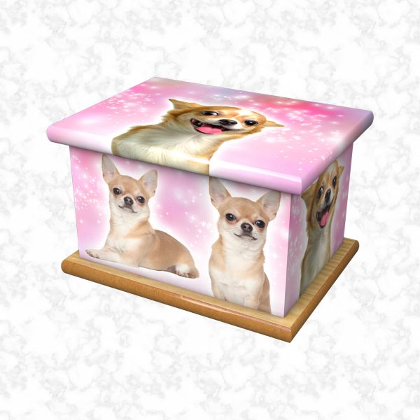 Chihuahua pet ashes casket size 2