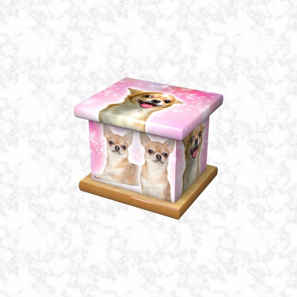 Chihuahua pet ashes casket size 3