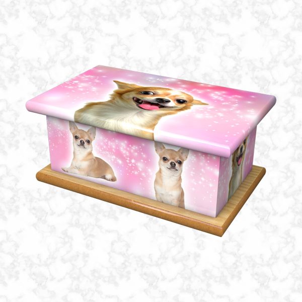 Chihuahua pet ashes casket size 4