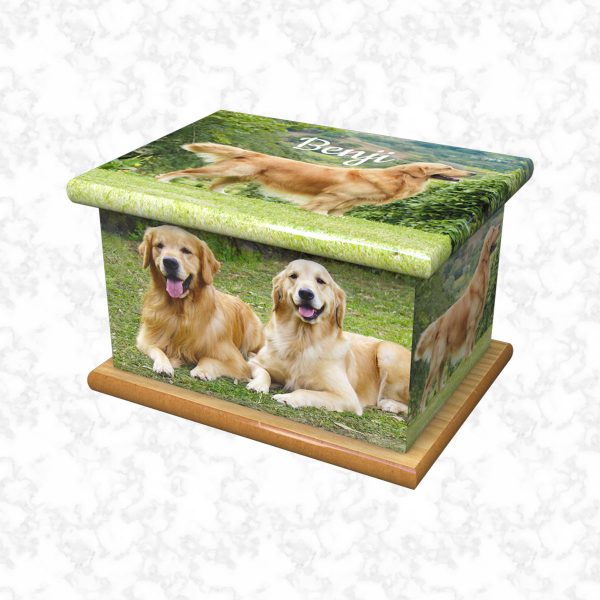 Benji pet ashes casket size 2