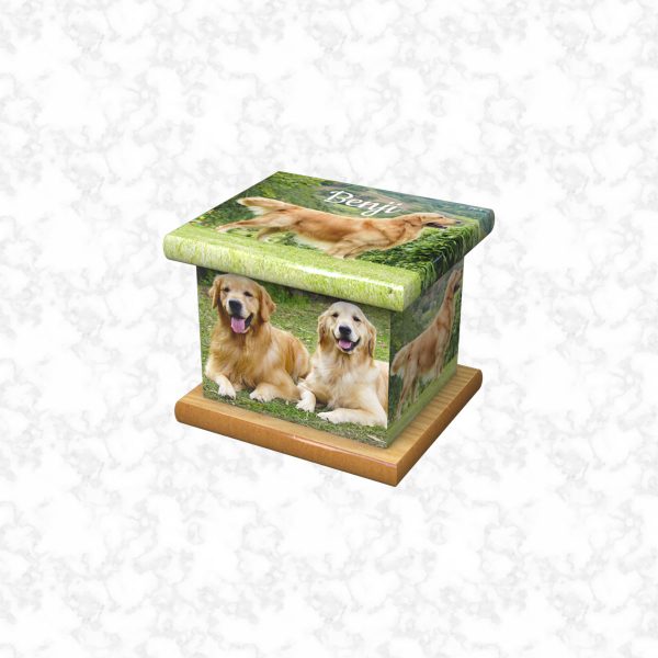 Benji pet ashes casket size 3