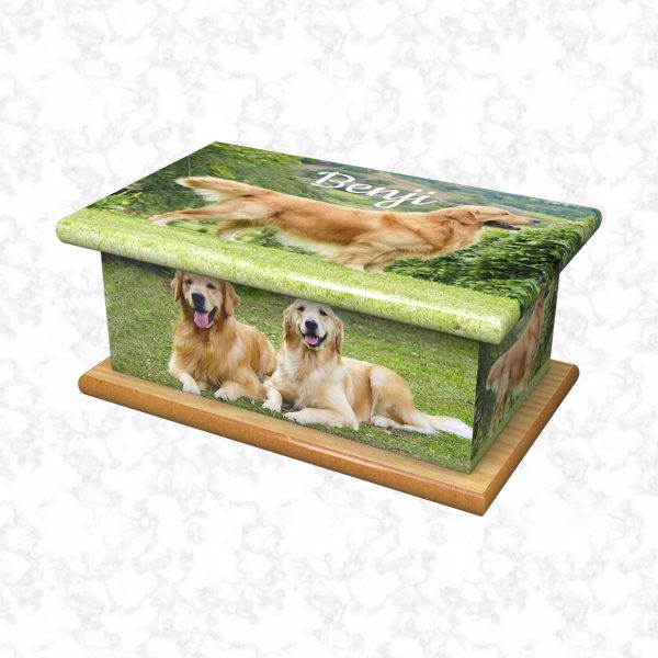 Benji pet ashes casket size 4