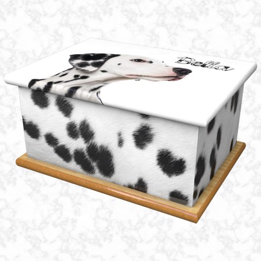 Bella pet ashes casket size 1