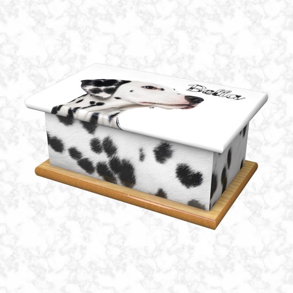 Bella pet ashes casket size 4