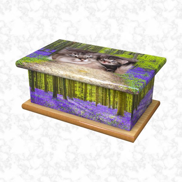 Bluebell pet ashes casket size 4