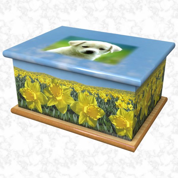 Toby pet ashes casket size 1