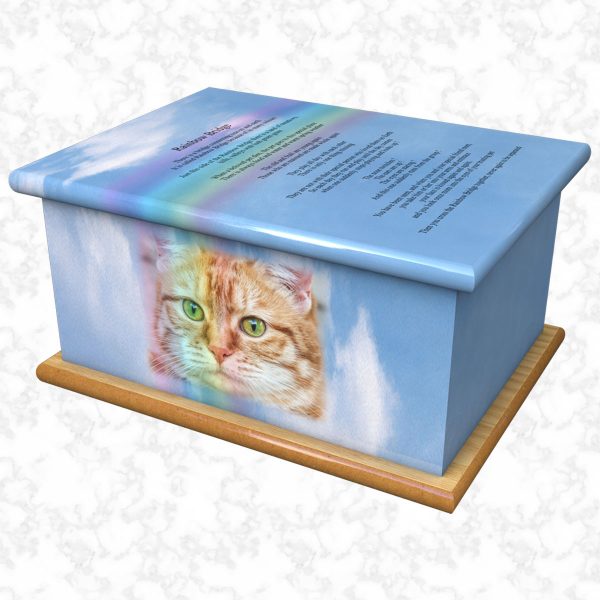 Rainbow bridge pet ashes casket size 1